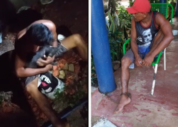 Homem é capturado e acorrentado por populares após ser flagrado furtando porcos no Piauí